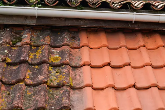 roof cleaning