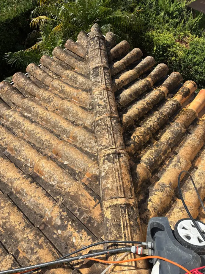 dirty roof